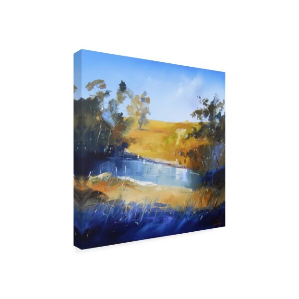 Craig Trewin Penny 'Winter Dam' Canvas Art,14x14